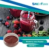 Blueberry Juice Powder
